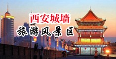 性交肛交口爆3p,多p中国陕西-西安城墙旅游风景区